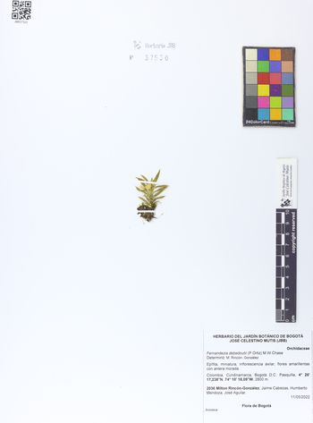 37530