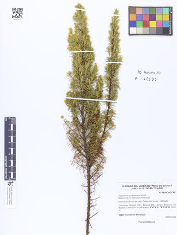 40303