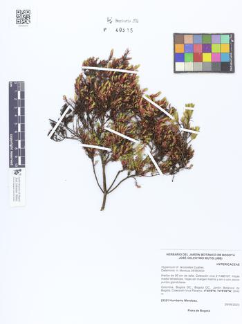 40315
