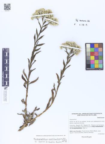 41815