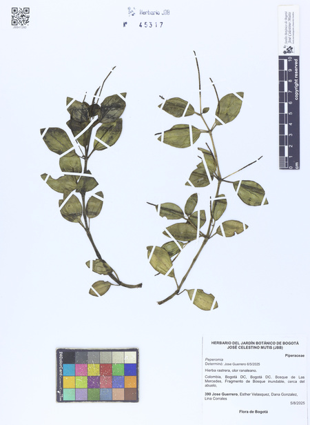 45317