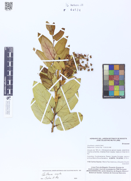 44634