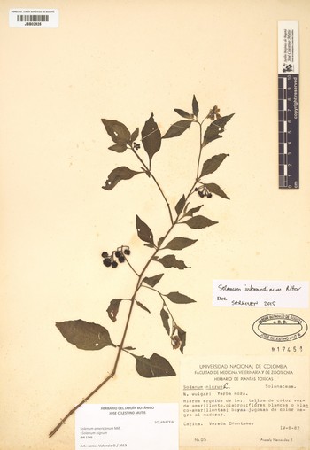 1745