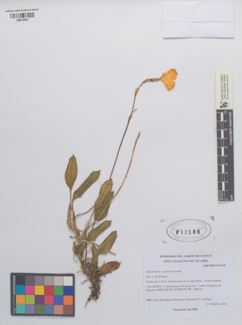 17588