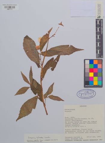 18421