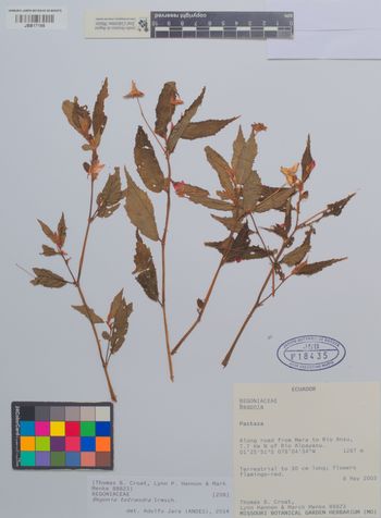 18435