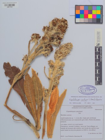 18795
