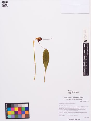 catalogo-temp-JBB20935