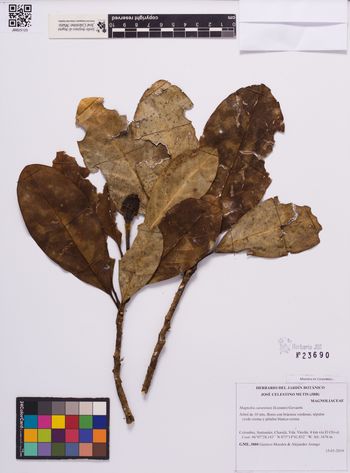 23690