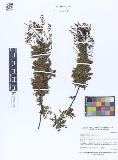 43914